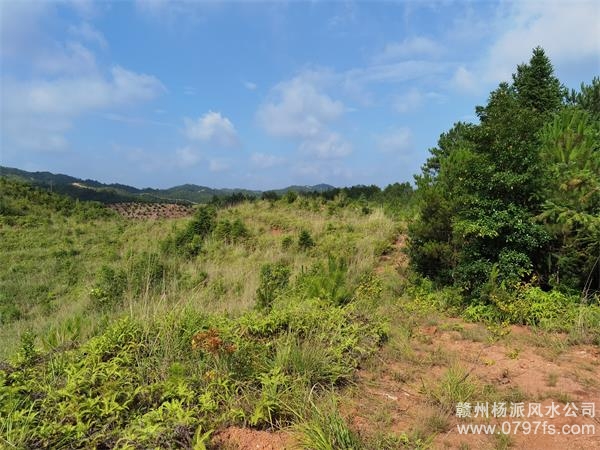 柳州市带着徒弟上山学杨公风水现场操作