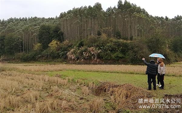 柳州市陈老师带着爱徒寻龙点穴